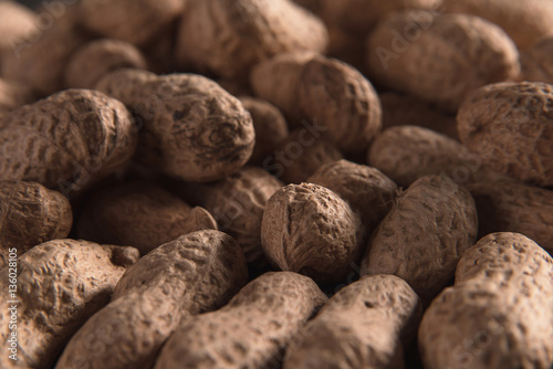 Obraz na plátne Dried peanuts put by a row