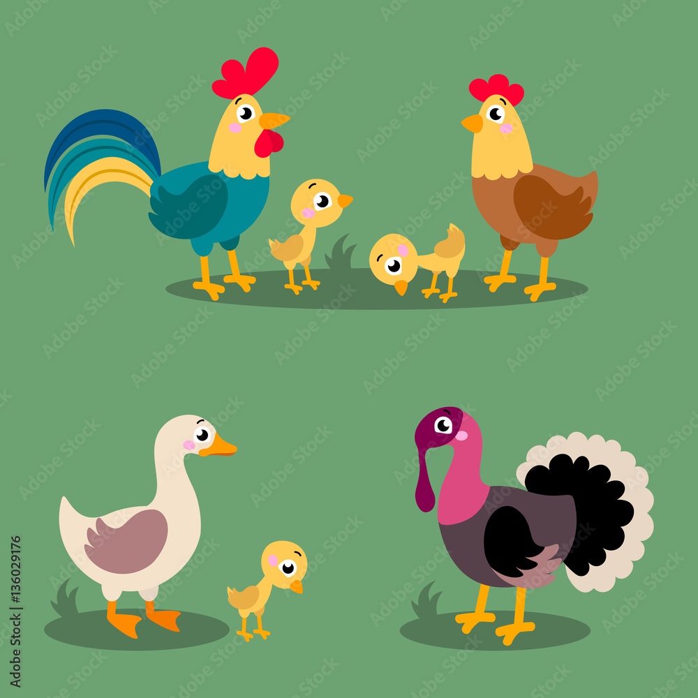 Set of popular colorful vector farm birds. Cute farm birds rooster