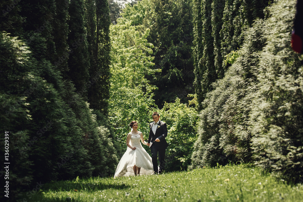 Laughing wedding couple runs through the dense forest Laughing wedding couple runs through the dense forest