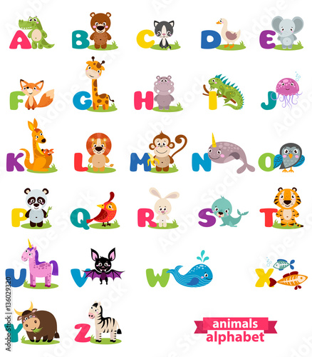 Fototapeta Naklejka Na Ścianę i Meble -  Cute english illustrated zoo alphabet with cute cartoon animal. Vector illustration for kids education, foreign language study.