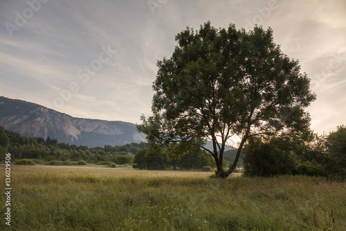 Landschaft in Kaernten  Oesterreich