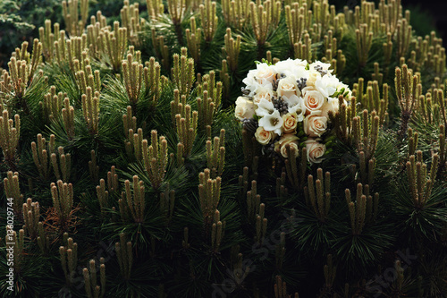 Tender wedding ouquet lies on the bush photo