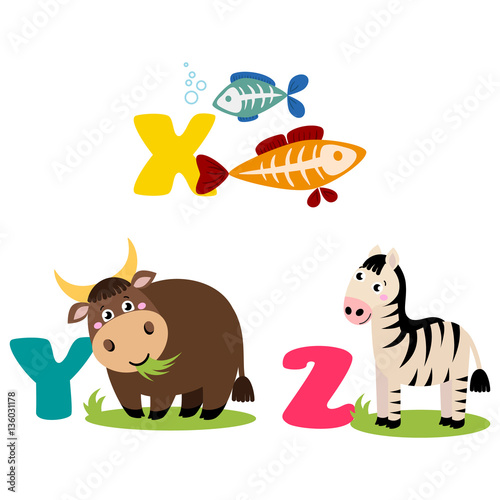A vector illustration of alphabet animals from X to Z. Vector illustration for kids education, foreign language study.