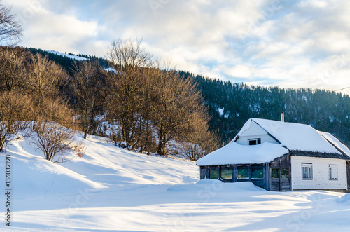 House on a hillside covered with snow and green trees on the sid © Svfotoroom