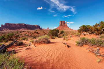 Papier peint photo Corail Sand dunes in desert in Monument Valley, Arizona, United States.  © lucky-photo