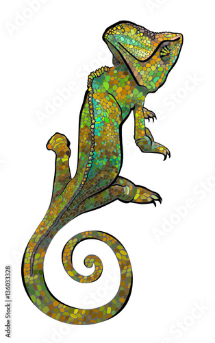 chameleon. Chameleon vector print. Vector illustration of a silhouette of a chameleon