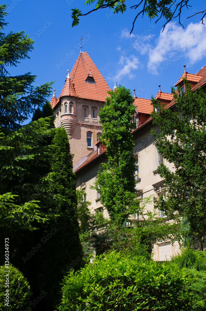 Castle in Osieczna, Poland