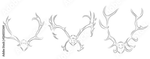Set of contour drawing of different deer antlers. Vector element for your design