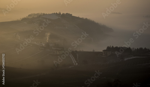Fotografie Nebbia al Sorgere del Sole nelle Langhe