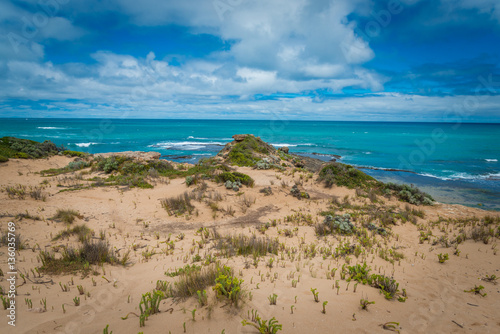 Scenic South Australian Limestone Coast landscape at Beachport © mastersky