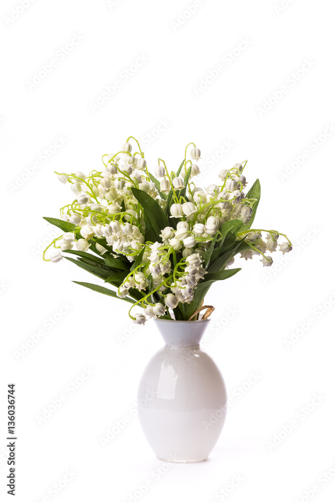 mayflowers spring white bouquet isolated