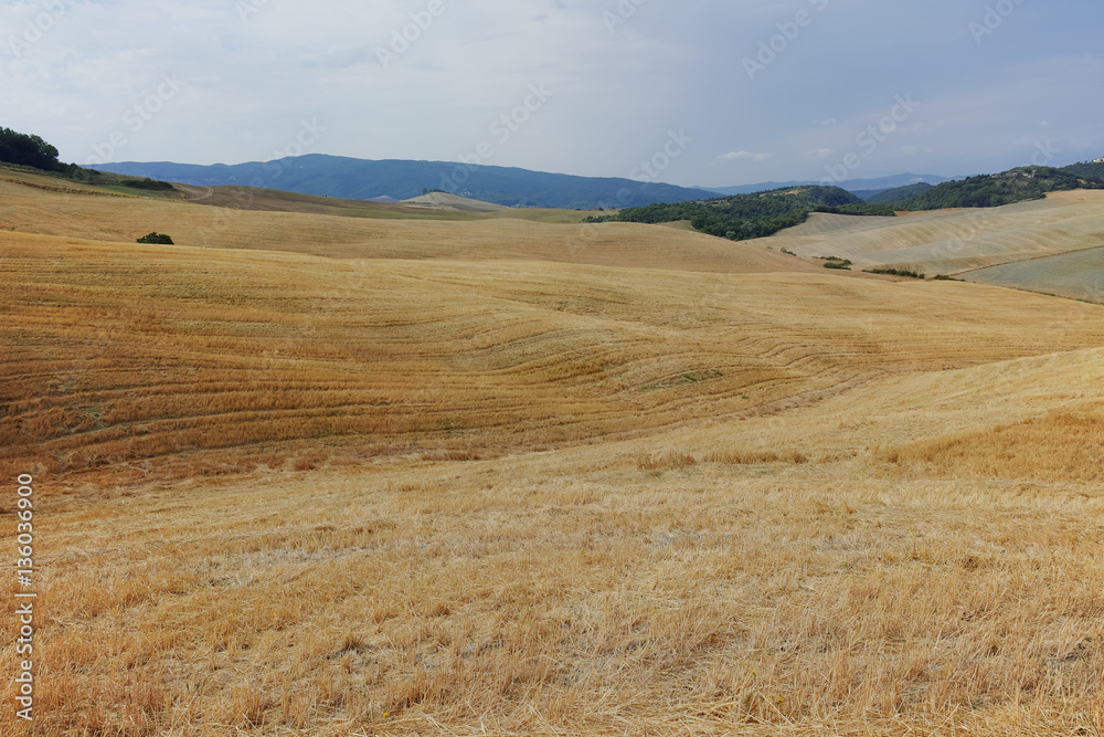 Typical landscape in Tuscany, farmhouse on the hills of Val d'Or