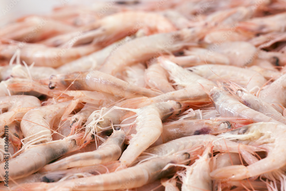 prawl in the fish market prawl in the fish market