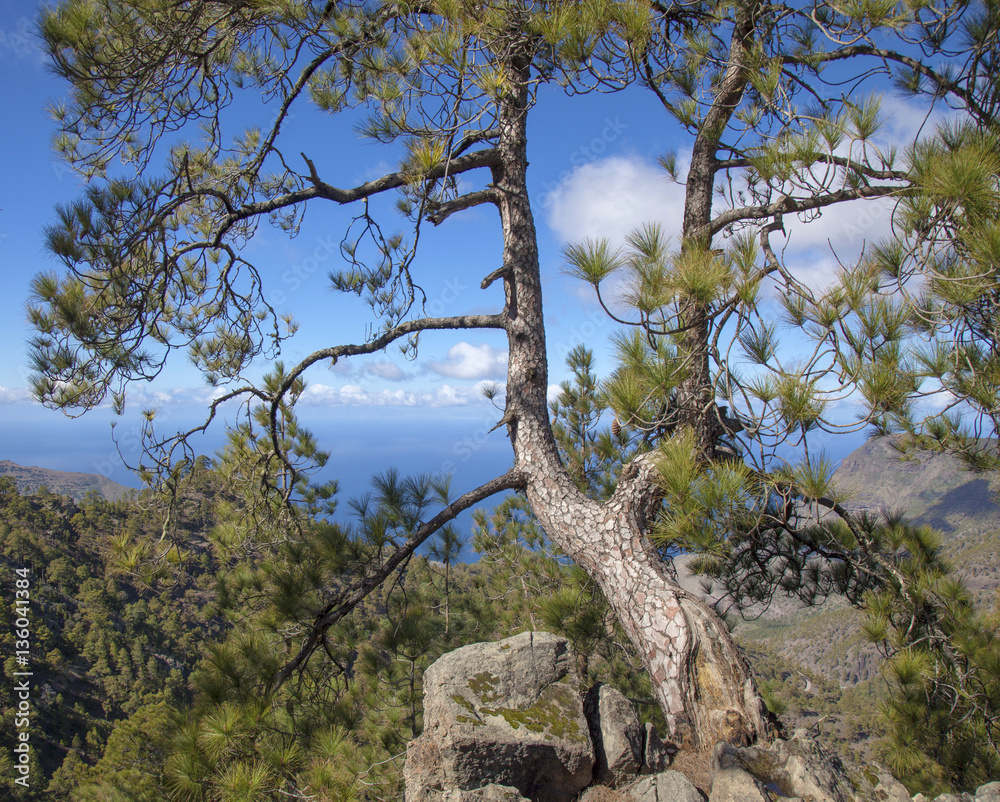 Central Gran Canaria