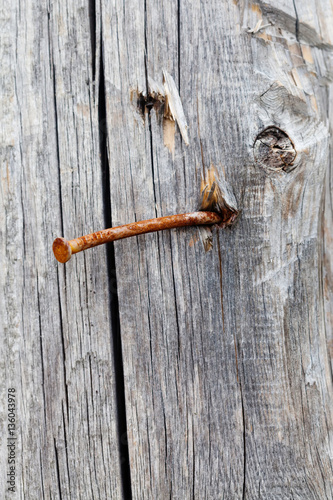Rusty nail vintage wooden plank textured background. selective focus photo