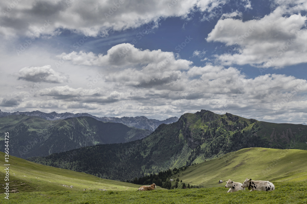 Langkofel Langkofel