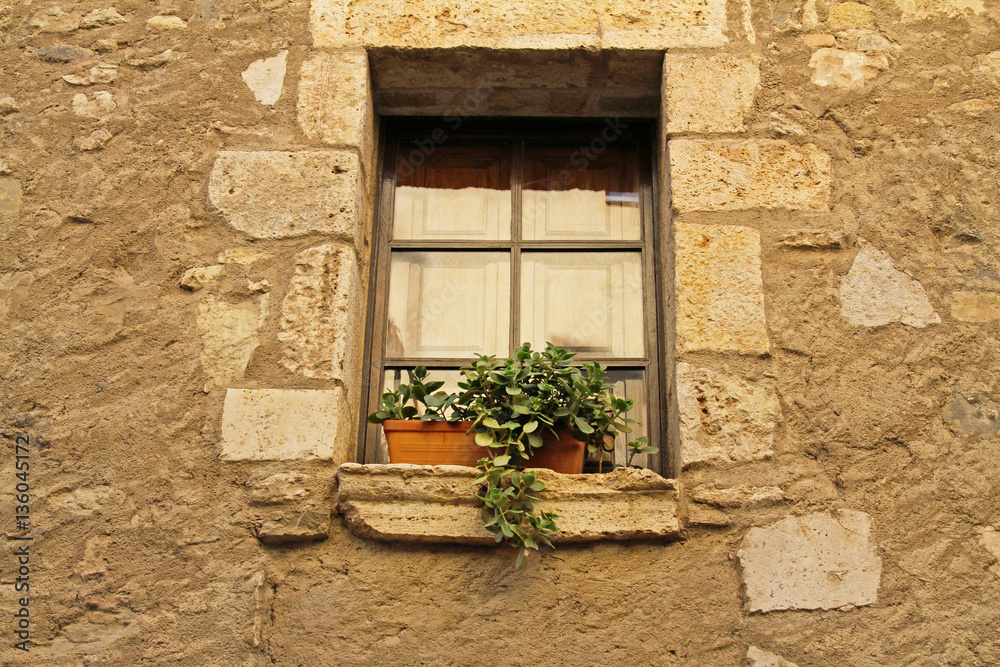 Window with a pot of flowers in a spanish village Besalu