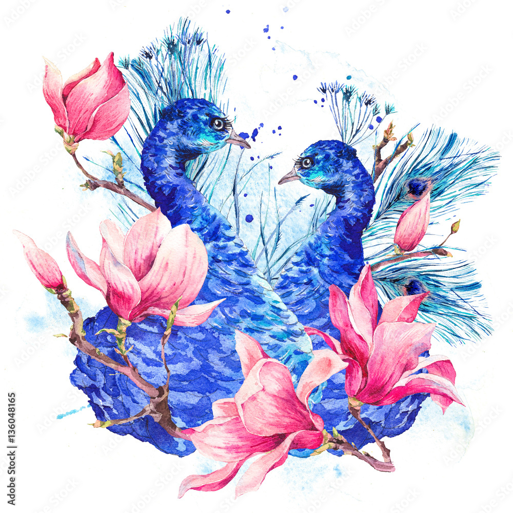 Watercolor Peacock with Flowers Magnolia