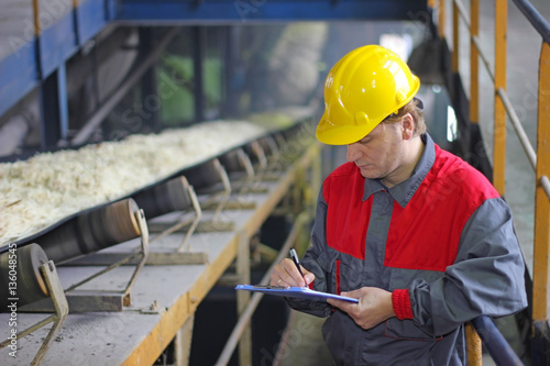 Worker controlling and writing the result of the quality of chopped sugar beet on conveyor belt in sugar refinery