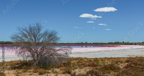Loch Lel - pink lake in Victoria  Australia.