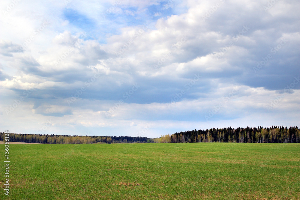 A fresh field landscape with green grass and a cloudy sky