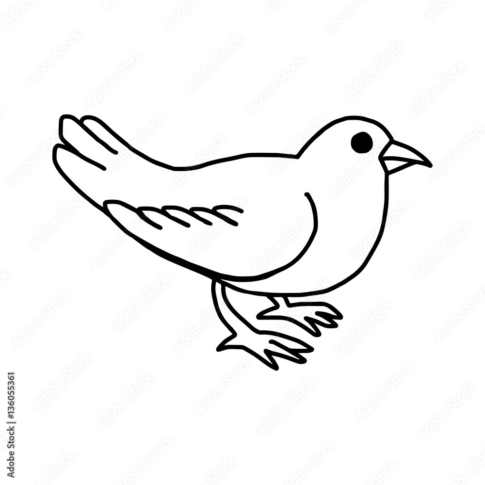 vector illustration hand drawn sketch of dove isolated on white background vector illustration hand drawn sketch of dove isolated on white background