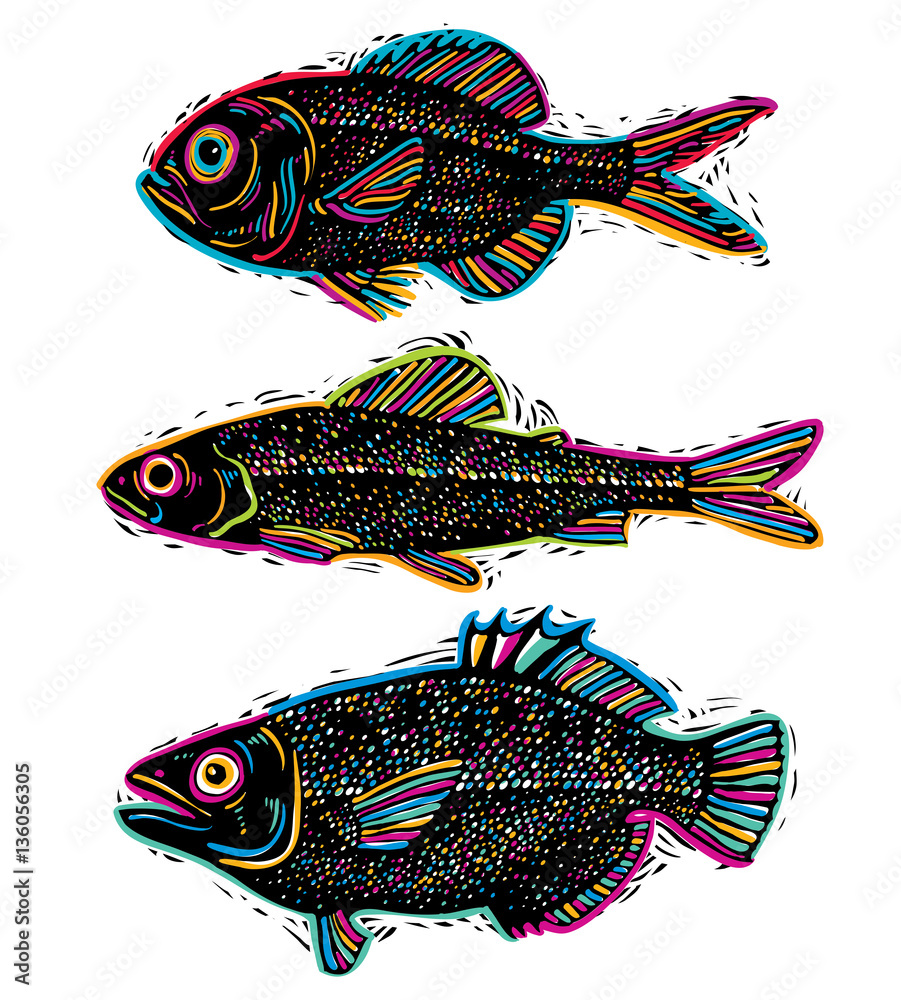 Set of vector drawn fishes, different underwater species. Organi Set of vector drawn fishes, different underwater species. Organi