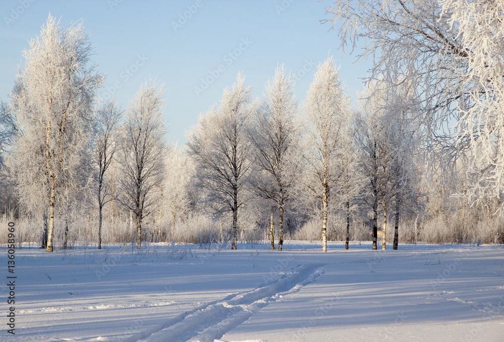 Winter landscape with snow covered trees . Winter landscape with snow covered trees .
