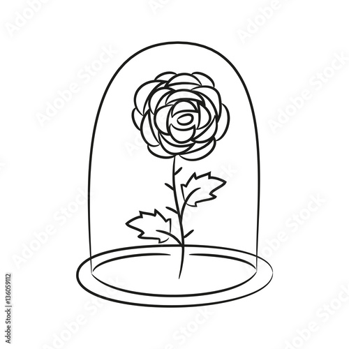 Rose in a flask of glass. on the white background for your desig