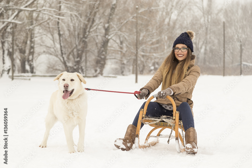 Girl and a dog in the snow