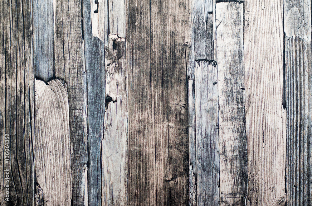 texture of bark wood use as natural background
texture of bark wood use as natural background