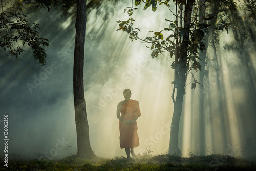 Fototapet Vipassana meditation monk walks in a quiet forest.