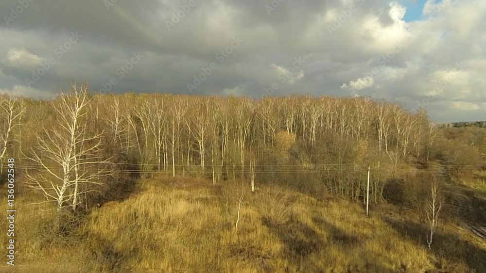 Autumn forest aerial panorama Autumn forest aerial panorama