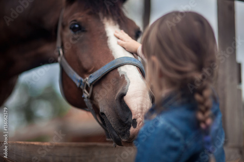 Fototapeta Cute girl feeding her horse in paddock