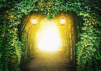 Heart road in a fantasy forest