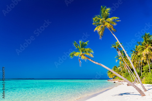 Tropical island with coconut palm trees on sandy beach. Maldives