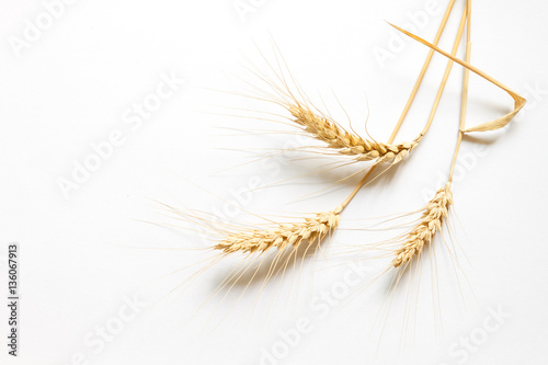 Hard wheat on white cardboard, close up