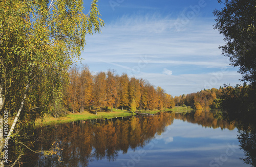 Autumn scene