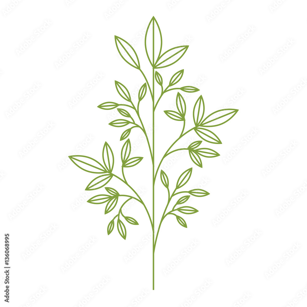 Naklejka premium leafs plant isolated icon vector illustration design