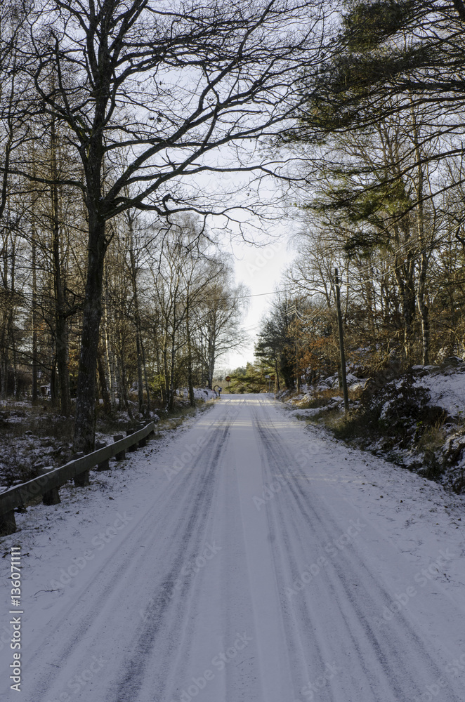 one road in sweden with snow one road in sweden with snow