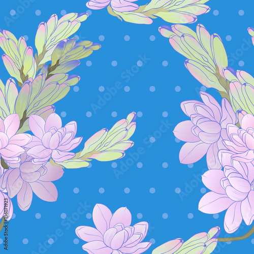 Tuberose Image medicinal, perfumery and cosmetic plants. Seamless pattern. Wallpaper. Use printed materials, signs, posters, postcards, packaging.