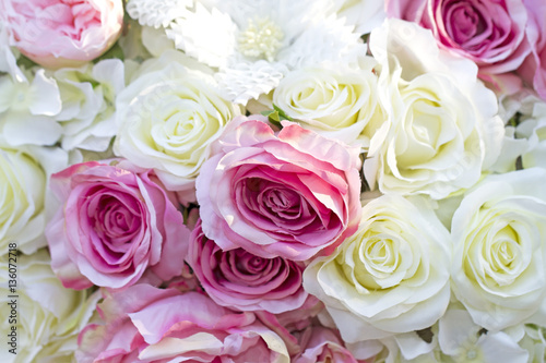 Pink and white roses background