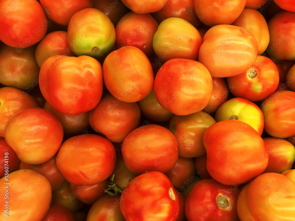 Close-up view of fresh tomatoes. Young juicy tomatoes. A lot of