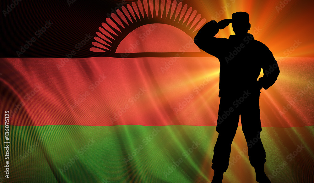 Flag of the Malawi