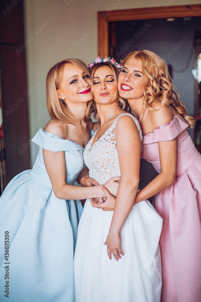 nice portrait of beautiful bride and her charming bridesmaids