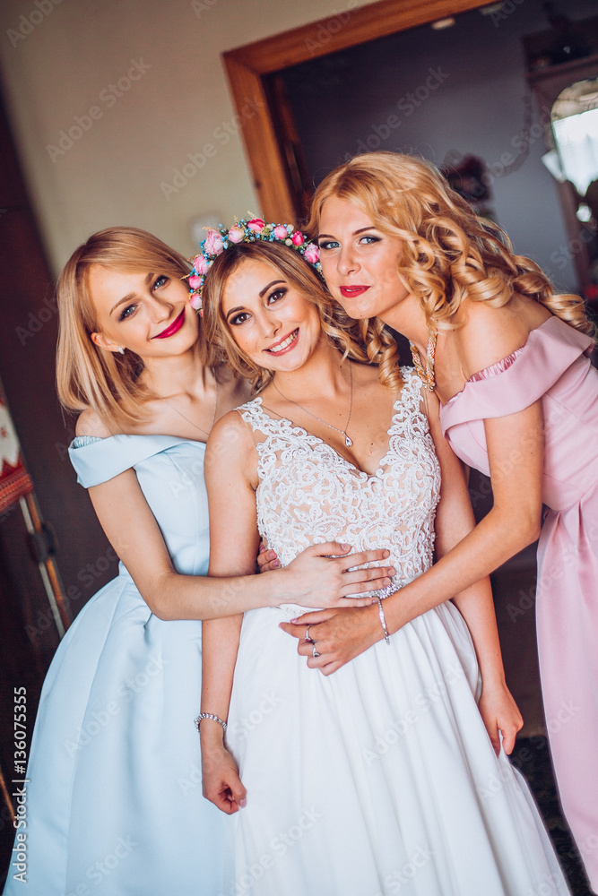 nice portrait of beautiful bride and her charming bridesmaids