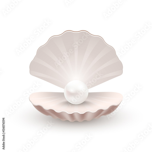 Shell with pearl inside, isolated on white, vector illustration