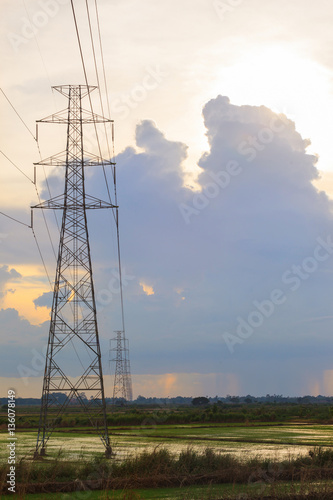 High electric pole against green rice farm at sunset with cloud background
