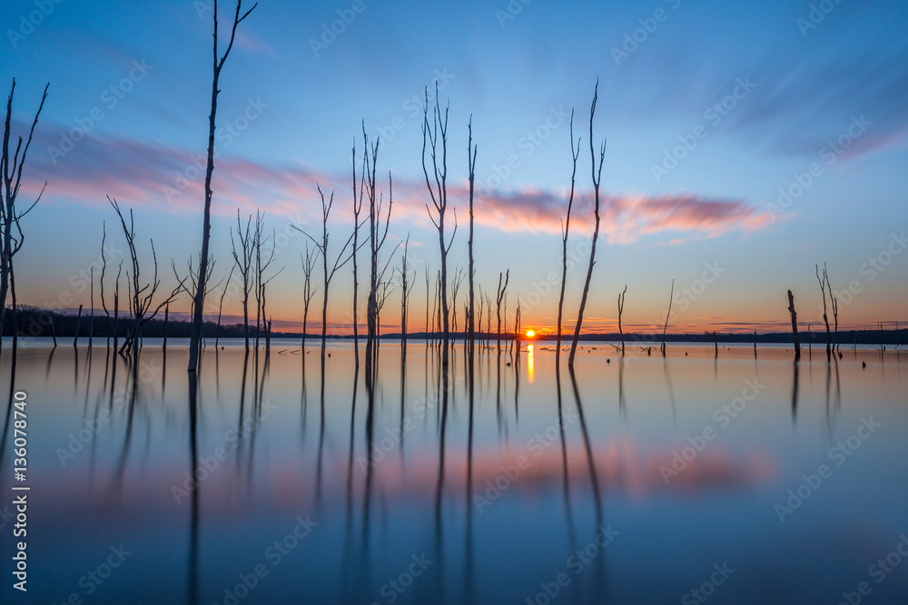 Long exposure sunrise at a lake bare trees Long exposure sunrise at a lake bare trees