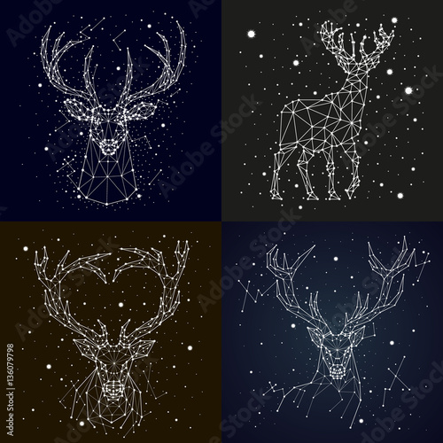 starry sky constellation deer